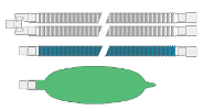 Adult Circle Circuits